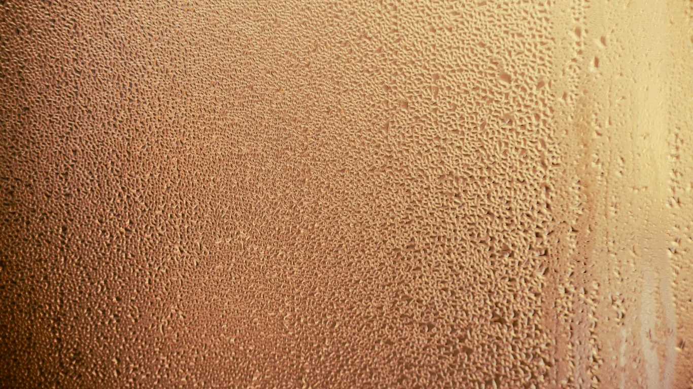Watch Crystal Fogging Condensation Fix: What It Means and What to Do
