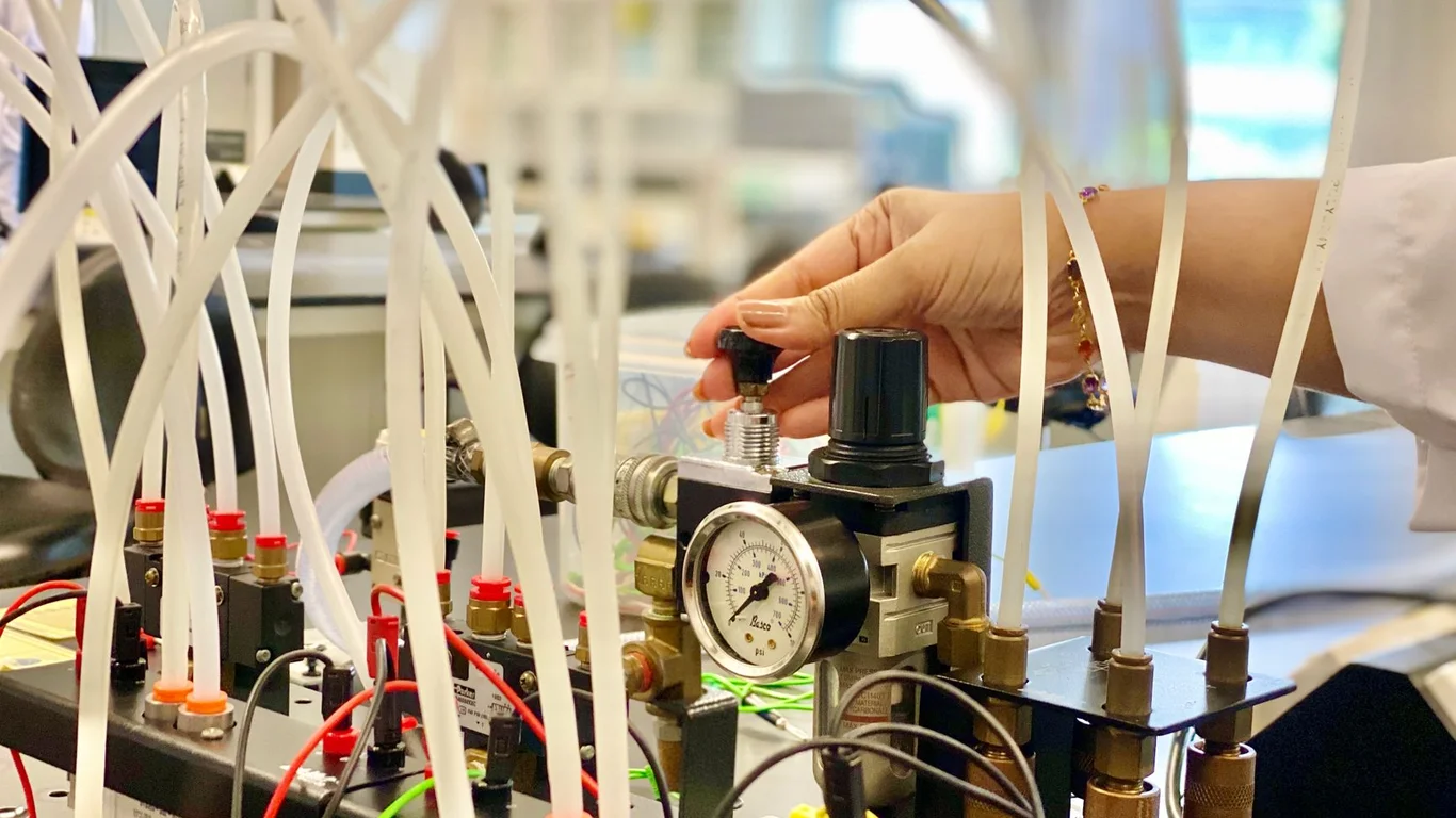 Watch Water Resistance Pressure Test: What the Service Involves and What It Costs